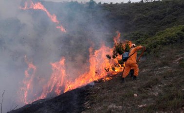 Bomberos de Tibú | Alcaldía de El Tarra