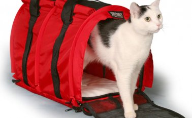 Internet | Refencial