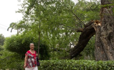 Luis Alfredo Estévez