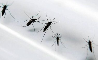 Los casos de infectados en el país ascendió un 5,6 por ciento. Colprensa