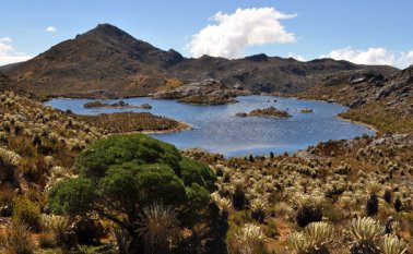 Las comunidades que viven del páramo aducen que se les quitó el derecho al trabajo. Colprensa