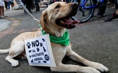 En el evento de este viernes, podrá participar el público en general completamente gratis.
Colprensa