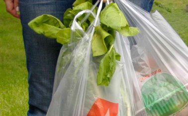 Internet | Referencial