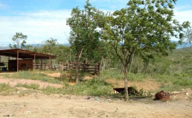 La cruzada para recuperar unas 300 zonas cedidas por constructores para la construcción de parques y zonas verdes cubrirá toda la ciudad. Rodrigo Sandoval