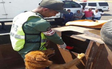 Especial para La Opinión