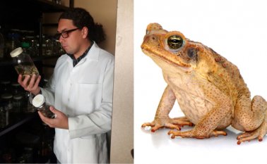 El docente y director del grupo de Ecología y Biogeografía de la Universidad de Pamplona, Aldemar Restrepo, es el líder de la investigación. Roberto Ospino