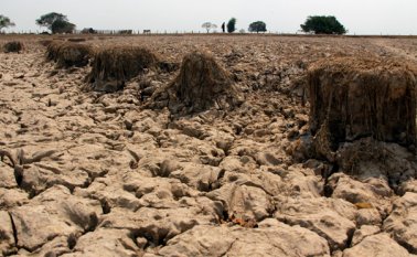 De acuerdo con los registros de la NOAA, este año podría convertirse en el mas cálido. Colprensa