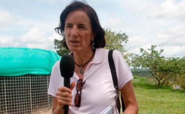 RFS sostuvo que con el hashtag #DondeEstaSaludHernandez, miles de seguidores exigen en Twitter que se aclare la desaparición de la periodista. Reporteros Sin Fronteras