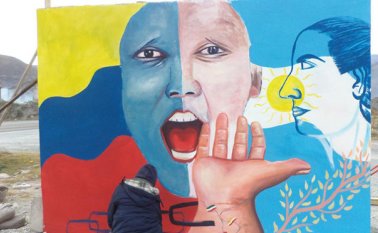 La pamplonesa Claudia Luna estuvo en Argentina en un encuentro de muralistas. La pintura elaborada por la artista colombiana es de seis metros de alto por cinco de ancho. Cortesía