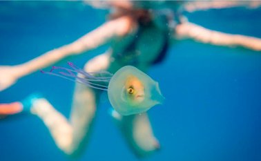 Instagram Tim Samuel