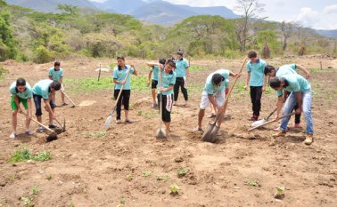 Parte de la enseñanza del hogar se centrará en la producción de 4 mil pollos. Archivo