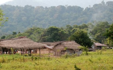 Dos familias de 10 personas pertenecientes a la comunidad barí de Venezuela. Archivo
