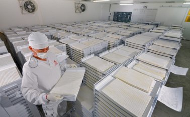Mayor confianza internacional, aumento de la inversión extranjera y fortalecimiento de la industria, serían consecuencias de la firma de la paz entre el Gobierno y las Farc. Colprensa