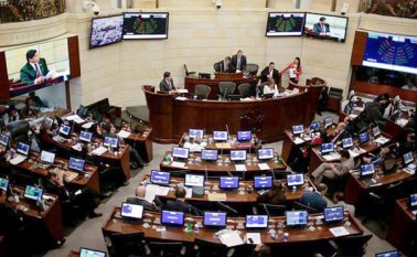 Los padres de la patria recibieron el lunes un ‘regalo’ del Gobierno, consistente en el decreto que aumenta sus ingresos mensuales por concepto de la labor legislativa. Colprensa