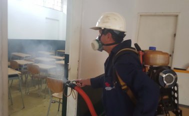 Cúcuta y Norte de Santander comienzan a intensificar los controles contra la propagación del mosquito eades aegyti y aspi evitar el mayaro. Archivo