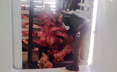 El camión estaba abandonado a un costado de la vía. Cortesía