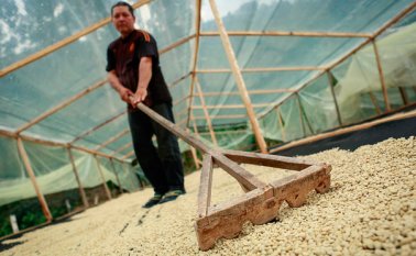 La problemática es tan grave que capacidad de bodegaje ya llegó a su límite. Colprensa