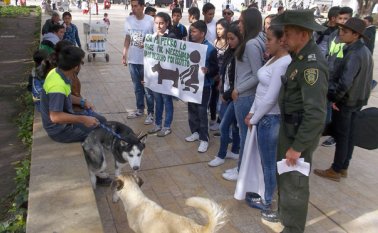 El grupo de jóvenes pertenecientes al grupo ‘Amigos de la naturaleza’ recorren parques y puntos concurridos del municipio para inculcar en los dueños de mascotas cultura ambiental y sentido de pertenencia con Pamplona. Roberto Ospino