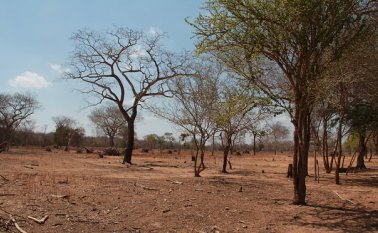 la Corte Suprema no acogió la petición de declarar la existencia de una crisis institucional profunda. Colprensa