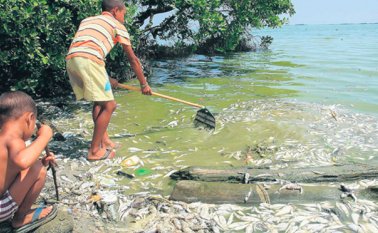 Hoy Diario del Magdalena