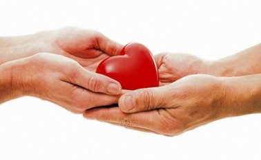 El riñón y el hígado son de los órganos más demandados y solo los donantes representan un 5 % del número de personas que necesitan un trasplante. Archivo