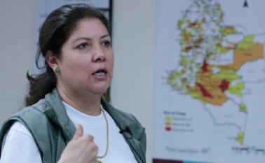 La Misión de Observación Electoral (MOE) advirtió sobre la necesidad de atender desde ya situaciones que se podrían presentar alrededor de la campaña por el plebiscito y afectar su normal desarrollo. Colprensa