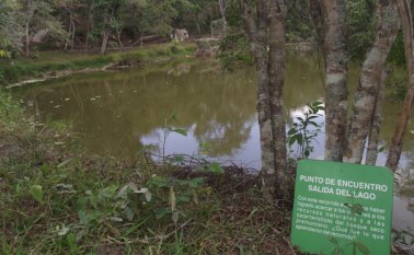 El jardín botánico de la UFPS cuenta con amplias áreas destinadas a la conservación de especies nativas. Desde los semilleros de investigación se estudiará la riqueza en flora de la región del Catatumbo. Javier Sarabia