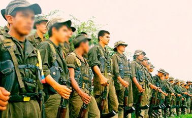 Lo que he percibido es que el grueso de las Farc va a entrar en el proceso: Santos. Colprensa