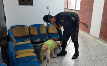 Por la integridad de los asistentes, funcionarios y las personas que frecuentan este lugar. Policía Nacional