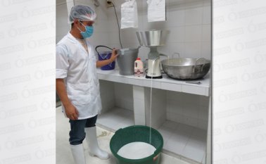 La leche se obtiene a través de un proceso de ordeño mecánico en el establo de la Institución. Daicy Echeverry