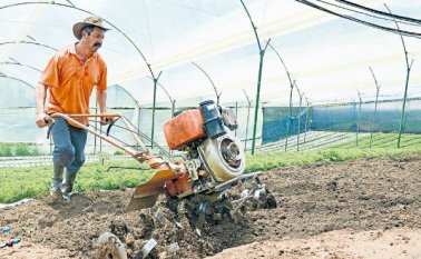 Antes de iniciar una actividad productiva se le recomienda al empresario hacer una revisión jurídica de los terrenos que va a comprar, para así evitar problemas en el futuro. Archivo La Opinión