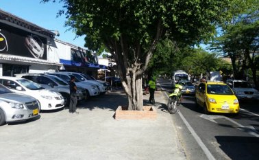 Los concesionarios de vehículos usados tardan hasta tres meses con un carro parqueado, ya que la demanda de vehículos venezolanos ha disminuido por el cierre de la frontera.    Archivo
