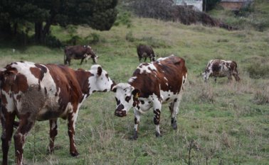 El evento académico se desarrollará el 13 y 14 de octubre. Archivo