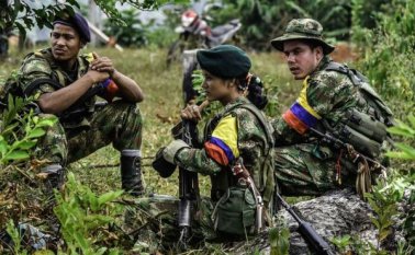 Guerrilleros de las Farc en la selva. Internet