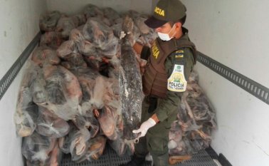 El pescado incautado, de las especies bagre y bocachico, tiene un valor comercial superior a $157 millones. Policía Nacional