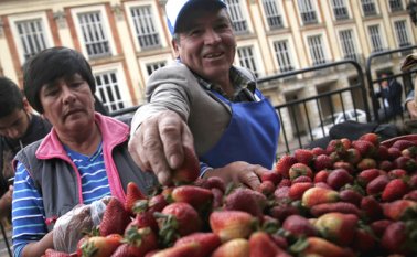 A la iniciativa se unieron diversas poblaciones como agricultores urbanos. Colprensa