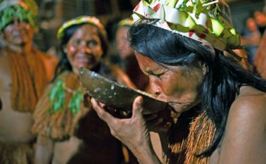 Los indios amazónicos usan el mambeo de coca para gobernar y comunicarse con el “padre creador”. AFP