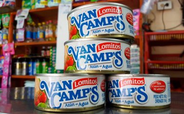 Internet | Referencial