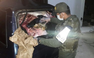 La carne decomisada representa un valor de 33 millones de pesos. Policía Nacional