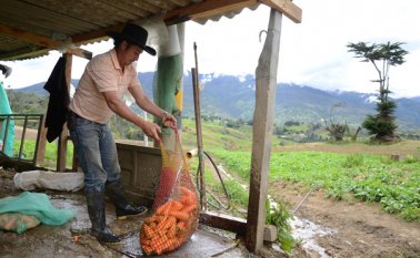 La normativa beneficiará a agricultores, manicuristas, conductores de carga pesada y más de 320 ocupaciones. Archivo