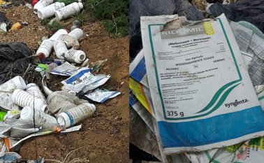 Los objetos contaminantes fueron arrojados al pie de la naciente de agua que surte a las viviendas de la vereda Sabaguá. Cortesía