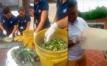 Un grupo de aprendices del Sena elabora papel ecológico a base de cogollo de piña. 20 kilos de cogollo sirven para elaborar casi 200 hojas de papel tamaño carta. Cortesía