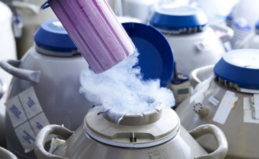 Sobre la edad ideal para tener un hijo, un 40 % estima que es entre los 25 y 26 años. Tomada de internet