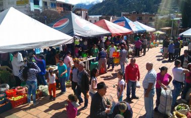Mensualmente se cumplen mercados campesinos en Pamplona. En la plazuela Almeyda se habilitan los puestos de venta. Roberto Ospino