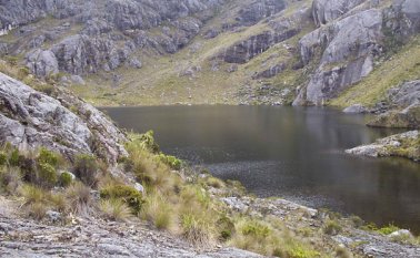 La meta de la reforestación es ayudar a preservar los sectores aledaños al páramo de Santurbán. Archivo