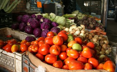 El plan ‘Desperdicio Cero’ incluirá el acompañamiento y financiación para la compra de maquinaria que permita la conservación de los alimentos. Archivo