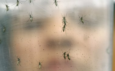 Presumiblemente fue transmitido dentro del estado. AP