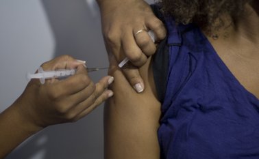 El zika, al igual que el dengue y la chicunguña, son enfermedades virales que transmite el mosquito Aedes aegypti. AP