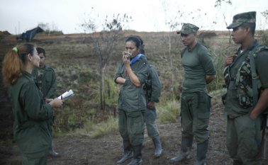 Una vez comience el proceso de movilización a las zonas veredales, los guerrilleros no podrán ser capturados, salvo que incurran en algún delito. Archivo