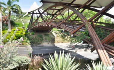 El puente de Guadua es uno de los sitios que se destacarán durante la campaña de personalizar a Cúcuta, que será lanzada en los próximos días para destacar lo mejor de la ciudad. Archivo La Opinión